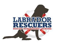 lab rescuers