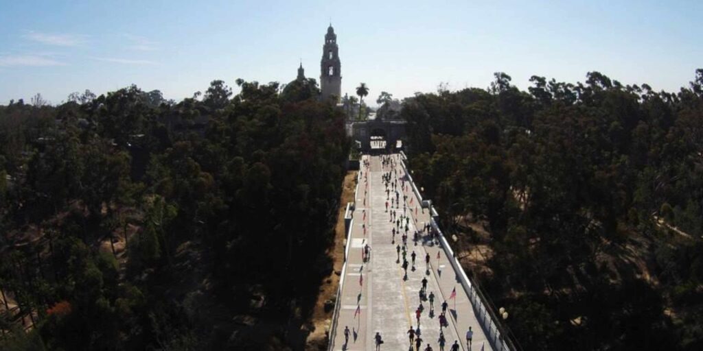Bridge